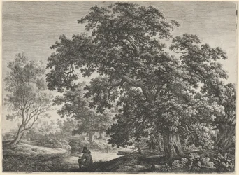 Giant Oak with a Seated Fisherman