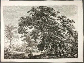 Fisherman in Wooded Landscape