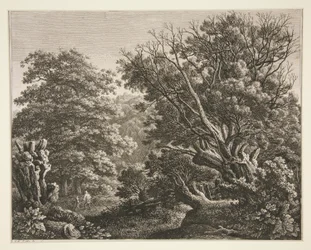 Landscape with Gnarled Tree