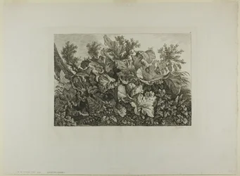 Swamp Plants