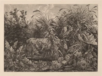The Cow in the Swamp