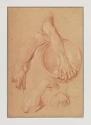 Studies of an Arm