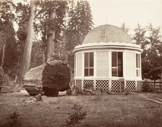 The House Built Over the Stump of a Big Tree, 1865-66, Printed ca. 1876