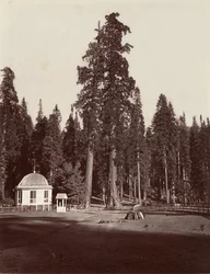 The Sentinel, 315 feet, 1865-66, printed ca. 1876