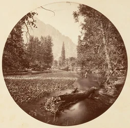 Yosemite National Park, California, ca. 1878