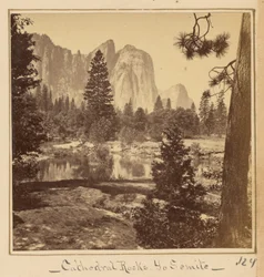Cathedral Rocks, 2600 feet