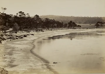 [Coast View near Monterey]
