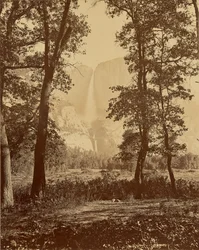 [Yosemite Falls from Below]