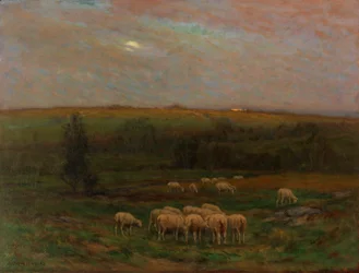 Evening after a Shower