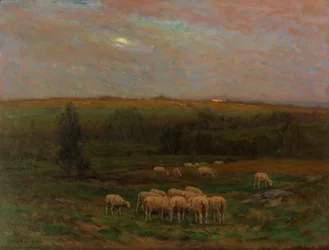 Evening After a Shower