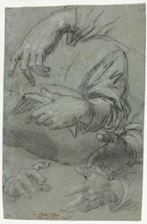 Studies of Hands (recto), Sketch of a Child