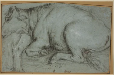 Recumbent Cow and Study for the Hind Legs of a Standing Cow