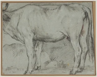 Standing Cow (head missing)