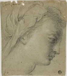 Female Head in Profile to Right