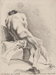 Academic Study, Seen from the Back