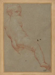 Study of a Young Boy