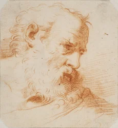 Head of a Bearded Man Looking to the Right