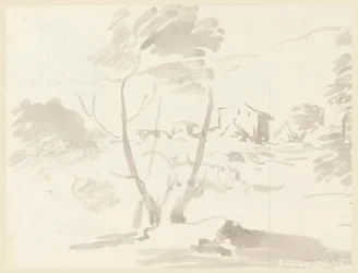 Sketch of Trees in a Landscape