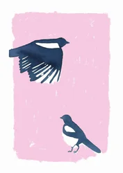 Pink Sky Magpies