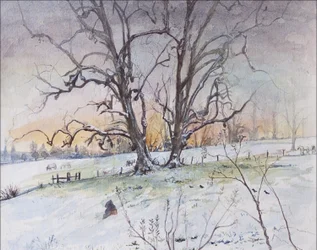 Winter, 2004