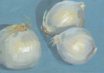 Fresh Garlic Still Life