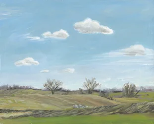 Open Countryside Landscape