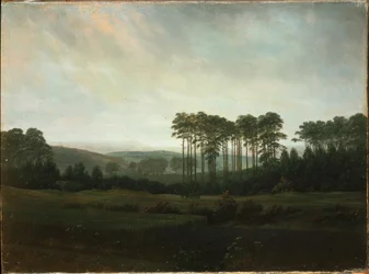 The Afternoon