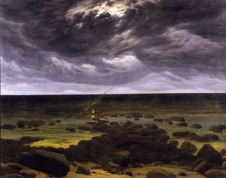 Seacoast in Moonlight