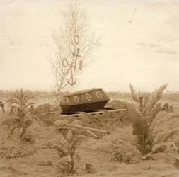 Coffin on a Fresh Grave