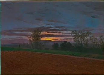 Steep Field