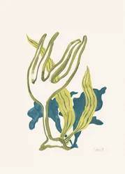 Flowing Organic Botanical