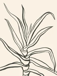 Minimalist Plant Outline