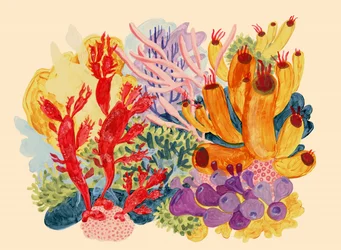 Vibrant Coral Reef