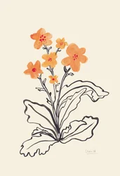 Vibrant Orange Flowers
