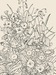 Wild Garden Flowers