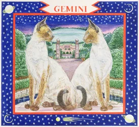 Gemini