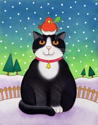 Cat with Robin