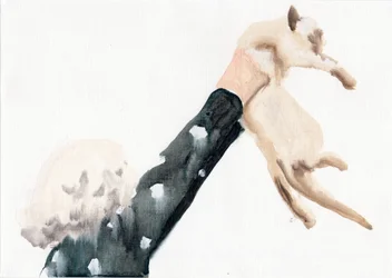 They took the kitten back…, 2016