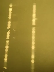Composition - Light