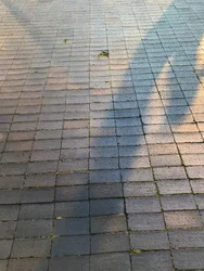 Composition - Light