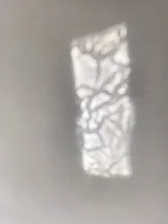 Composition - Reflections