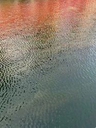 Composition - Reflections