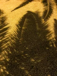 Composition - Shadows