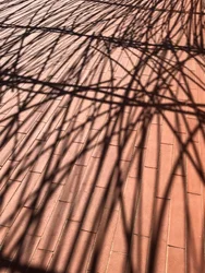 Composition - Shadows