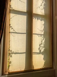 Composition - Shadows, 2021