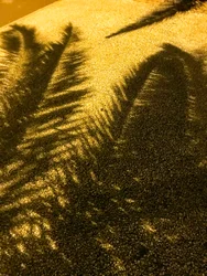 Composition - Shadows