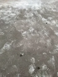 Composition - Street