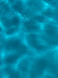 Composition - Texture