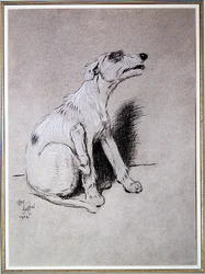 5:15 Awakened by a Bad Attack of Eczema, illustration from A Dog Day by Walter Emanuel