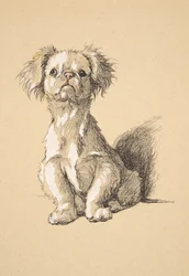 Peke, 1930, Illustrations from his Sketch Book used for Just Among Friends